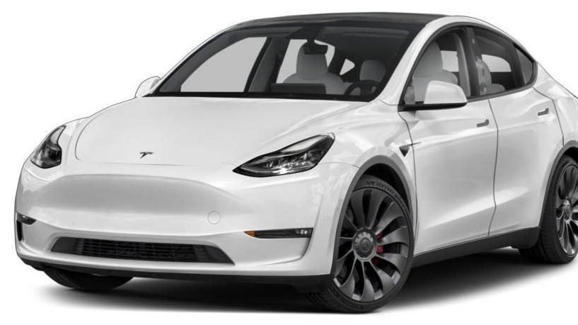 TESLA MODEL Y 2020 5YJYGDEE0LF041079 image